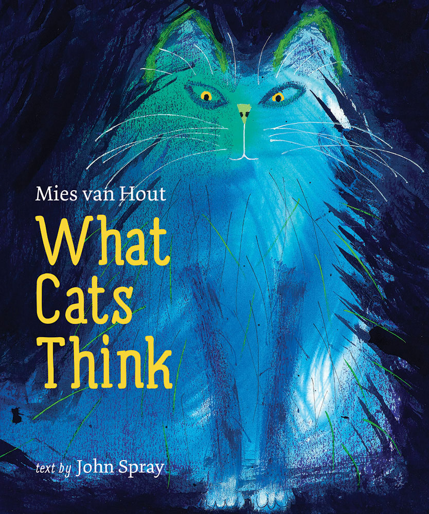 Picture Book Reviews: What Cats Think & Triceratops Stomp